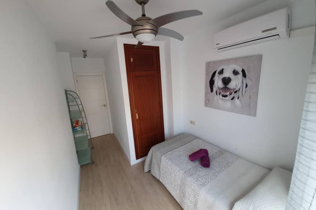 Apartment Beautiful Penthouse Solarium In Boliches *